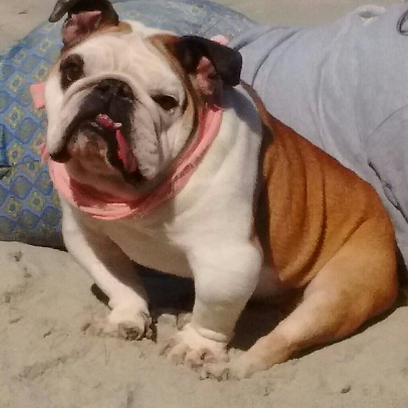 Meet your Posher, Amber💋 - Picture 5 of 5